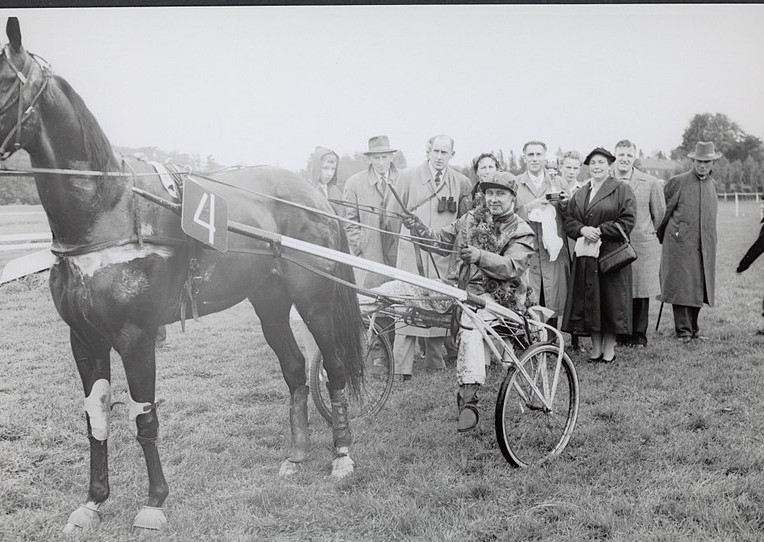 4 Fun Facts About Harness Racing scottishharnessracing.co.uk